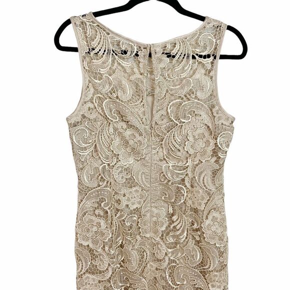 Adrianna Papell Champagne Gold Lace Sheath Dress - Picture 6 of 10